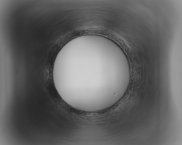 X0000102260966200807250834