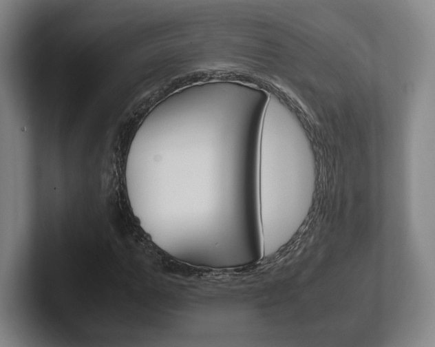 X0000102260967200807250834