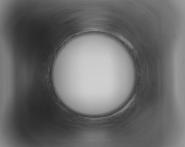 X0000102260969200807250834