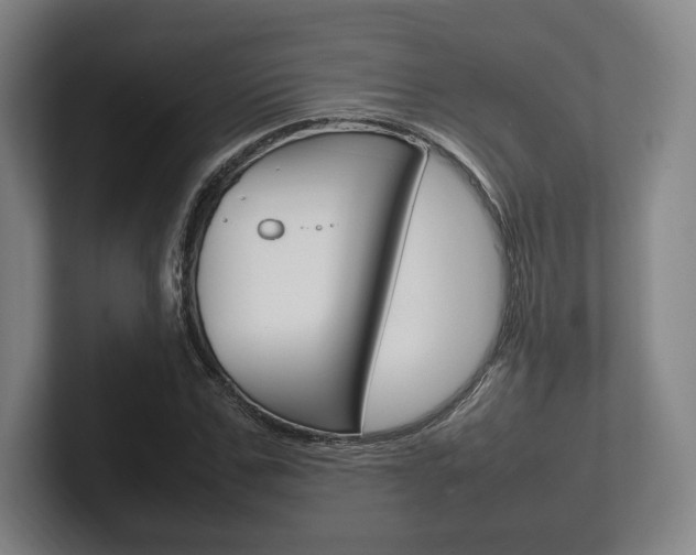 X0000102260971200807250834