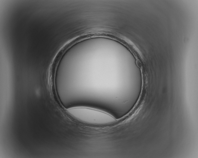 X0000102260973200807250834