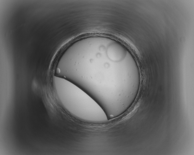 X0000102260974200807250834