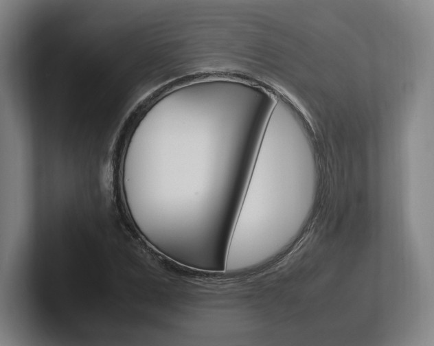 X0000102260975200807250834