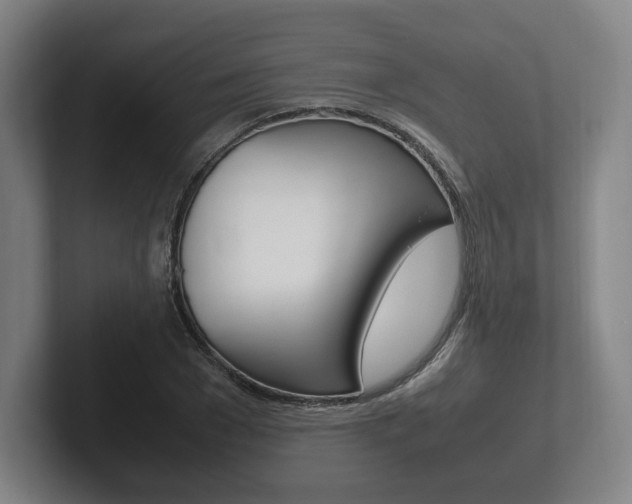 X0000102260977200807250834