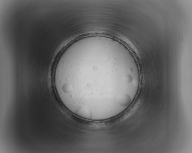 X0000102260978200807250834