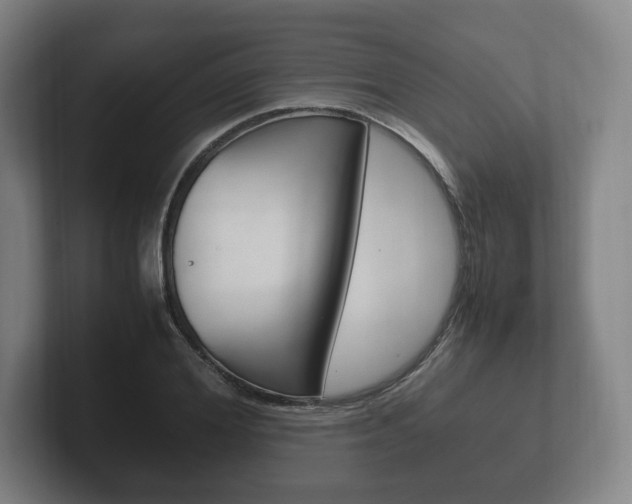X0000102260980200807250834