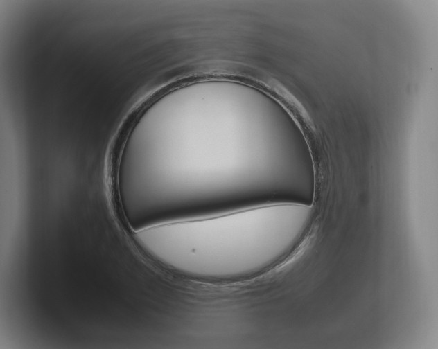 X0000102260981200807250834