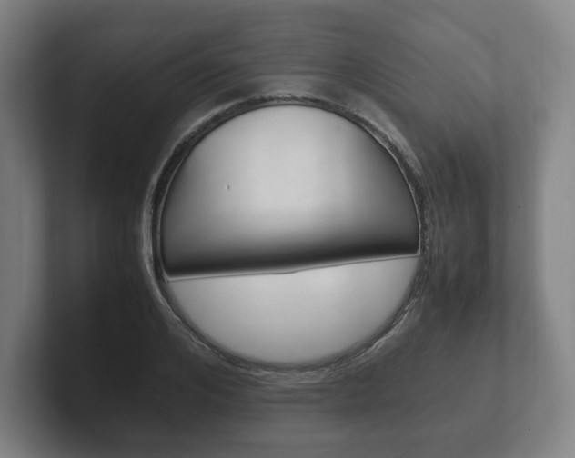 X0000102260984200807250834
