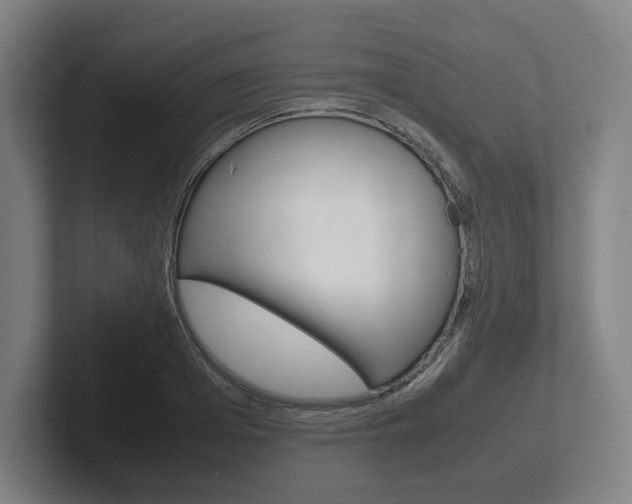 X0000102260985200807250834