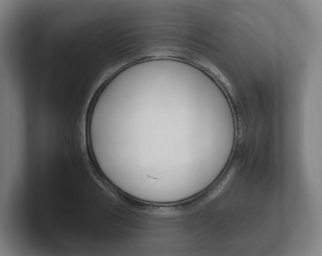 X0000102260986200807250834