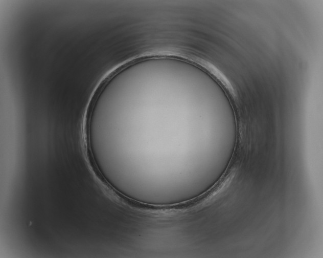 X0000102260988200807250834