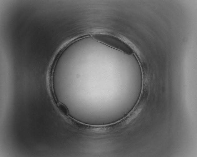 X0000102260989200807250834