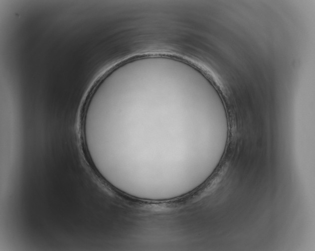 X0000102260990200807250834