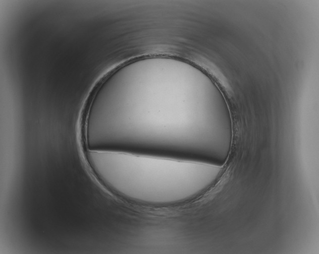 X0000102260991200807250834