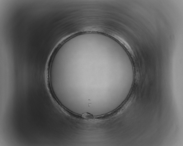 X0000102260992200807250834