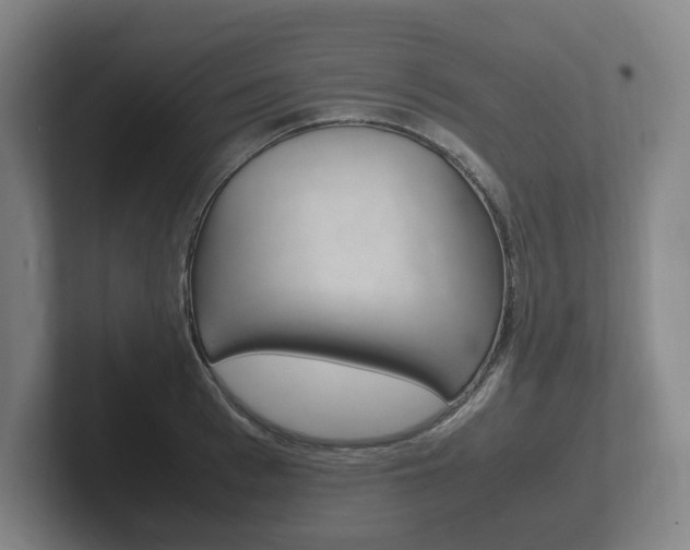 X0000102260993200807250834