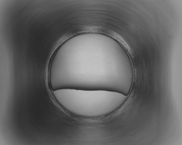 X0000102260994200807250834