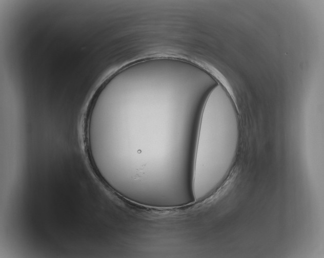 X0000102260997200807250834