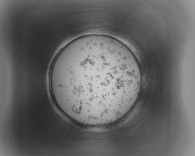 X0000102260998200807250834