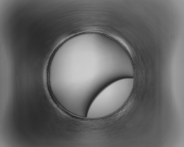 X0000102260999200807250834