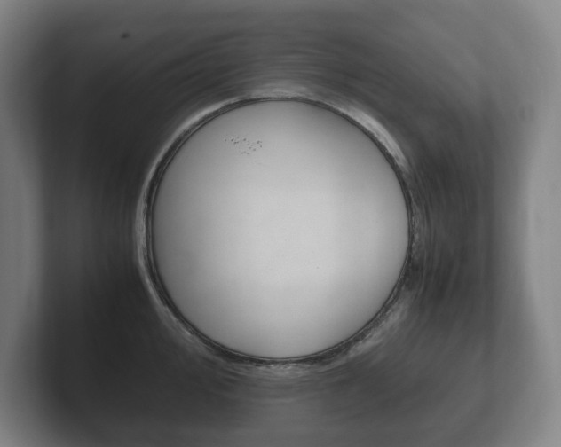 X0000102261000200807250834