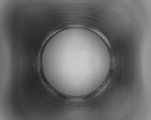 X0000102261002200807250834