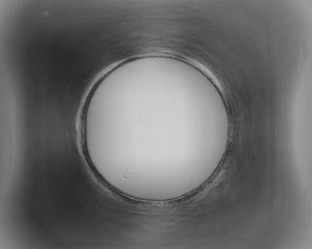 X0000102261003200807250834