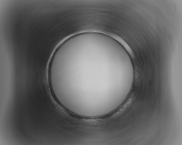 X0000102261004200807250834