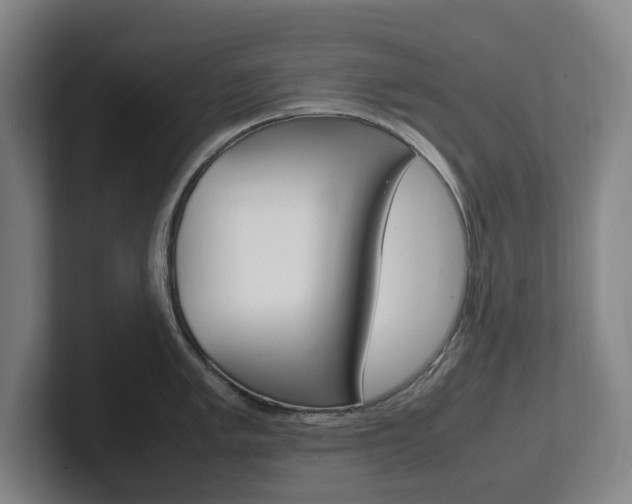 X0000102261005200807250834