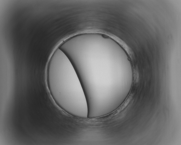 X0000102261006200807250834