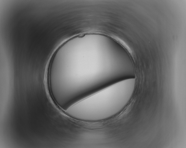 X0000102261007200807250834