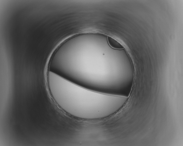 X0000102261008200807250834