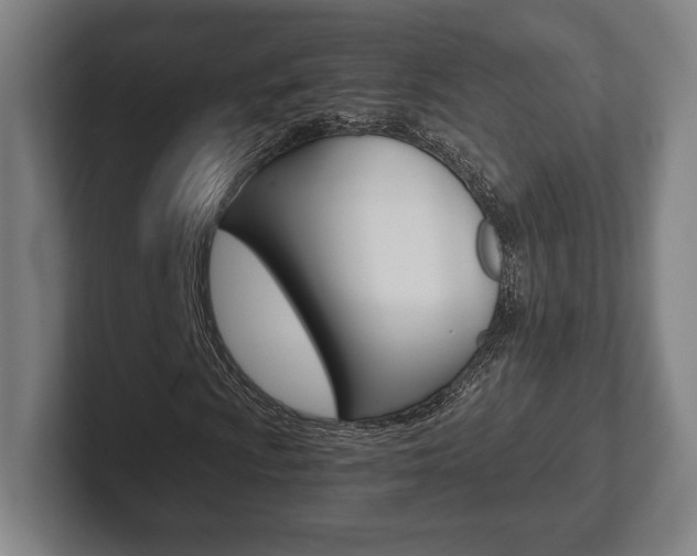 X0000102261009200807250833