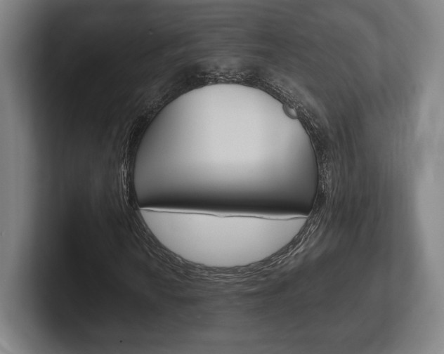 X0000102261010200807250833