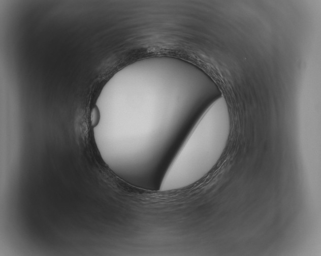 X0000102261012200807250833