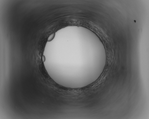 X0000102261013200807250833