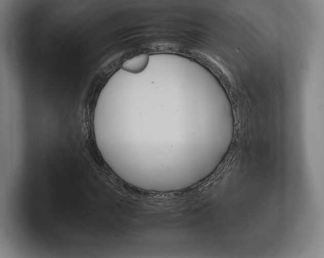 X0000102261015200807250833