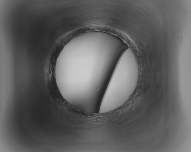 X0000102261016200807250833