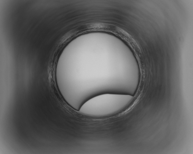 X0000102261017200807250833