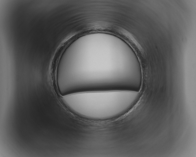 X0000102261018200807250833