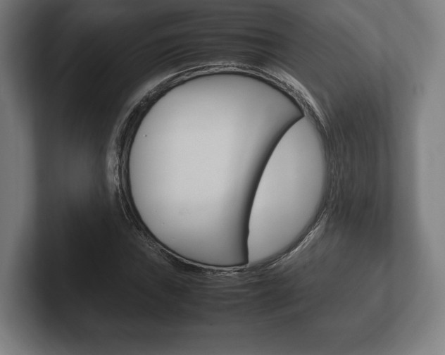 X0000102261019200807250833