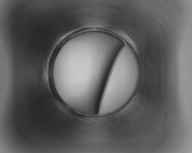 X0000102261020200807250833