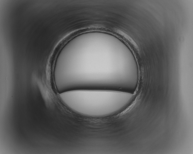 X0000102261021200807250833
