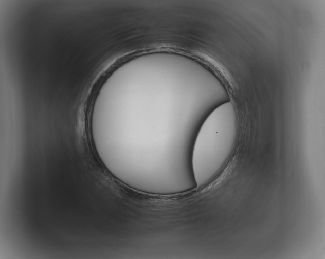 X0000102261023200807250833