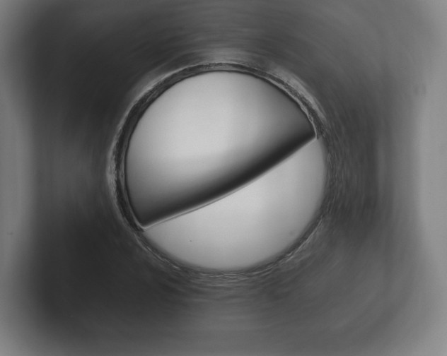 X0000102261024200807250833