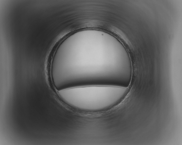 X0000102261026200807250833