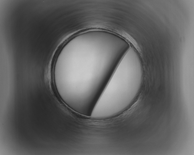 X0000102261028200807250833