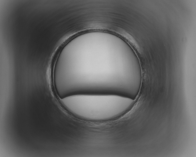 X0000102261030200807250833