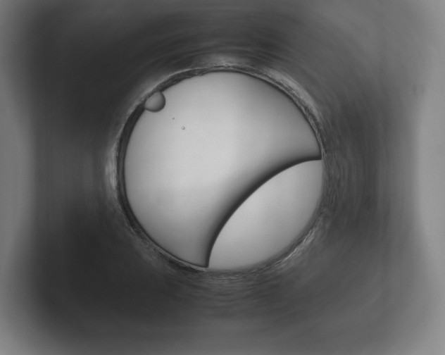 X0000102261031200807250833