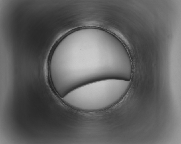X0000102261032200807250833